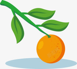 卡通扁平风格柑橘素材