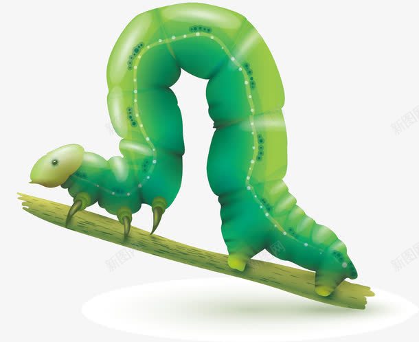 毛毛虫子png免抠素材_新图网 https://ixintu.com 毛毛 毛毛虫子 虫子矢量