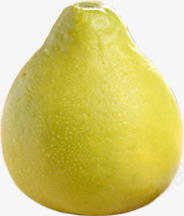 黄黄的大鸭梨png免抠素材_新图网 https://ixintu.com 一个水果 产品实物 水果 鸭梨 黄色