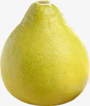 黄黄的大鸭梨素材
