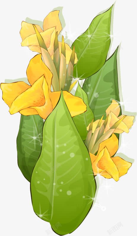 植物黄色的花png免抠素材_新图网 https://ixintu.com 植物 清新 绿色 花 黄色