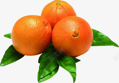 新鲜橙子蔬菜水果海报png免抠素材_新图网 https://ixintu.com 新鲜 橙子 水果 海报 蔬菜