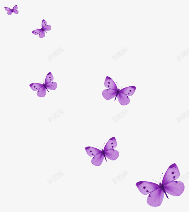 漂浮紫色蝴蝶飞舞png免抠素材_新图网 https://ixintu.com png png图片 动物 漂浮 紫色 蝴蝶 飞舞