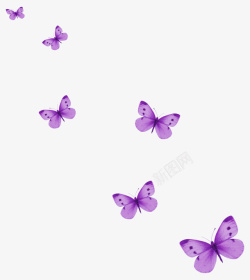 漂浮紫色蝴蝶飞舞素材