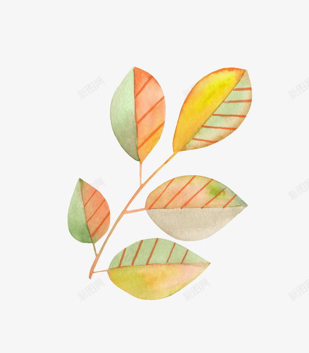 手绘叶子png免抠素材_新图网 https://ixintu.com 叶子 彩绘叶子 手绘叶子 树叶 植物 绘画 绿色 自然 装饰图案