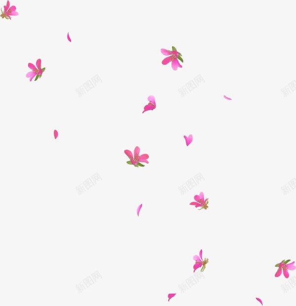 唯美创意粉红色花朵飘落png免抠素材_新图网 https://ixintu.com 唯美 婚礼 简约 粉红色 花朵