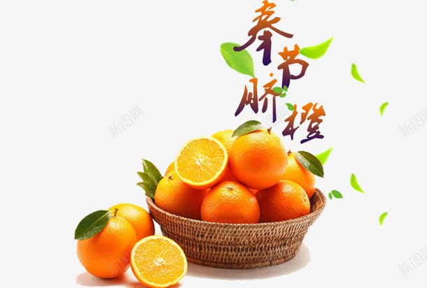 春节甜橙png免抠素材_新图网 https://ixintu.com 元素 橙子 水果
