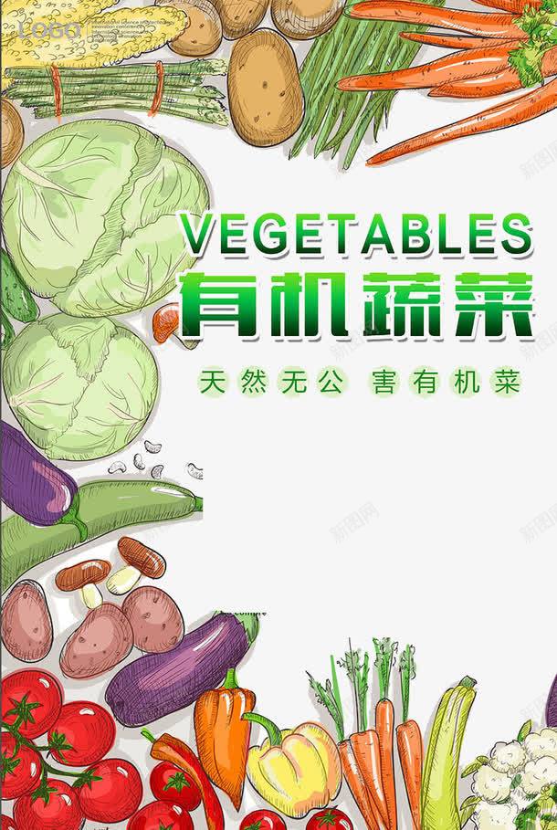 有机蔬菜png免抠素材_新图网 https://ixintu.com 健康 绿色 蔬菜 食物
