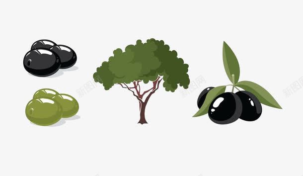 插画橄榄树橄榄果png免抠素材_新图网 https://ixintu.com 插画 橄榄果 橄榄树 绿色