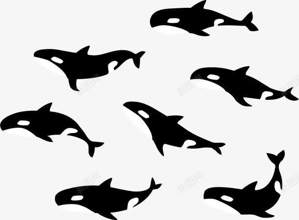 活泼的鱼矢量图ai免抠素材_新图网 https://ixintu.com 海中的鱼 白鳍豚 鱼跳跃 鱼鳍 鲸鱼 矢量图