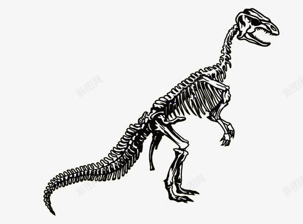 霸王龙化石png免抠素材_新图网 https://ixintu.com 侏罗纪化石 恐龙化石 霸王龙 食肉性恐龙