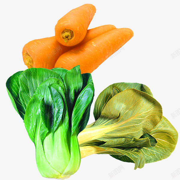 实物新鲜蔬菜psd免抠素材_新图网 https://ixintu.com 叶子 实物 新鲜蔬菜 白菜 胡萝卜 萝卜 蔬菜 青菜