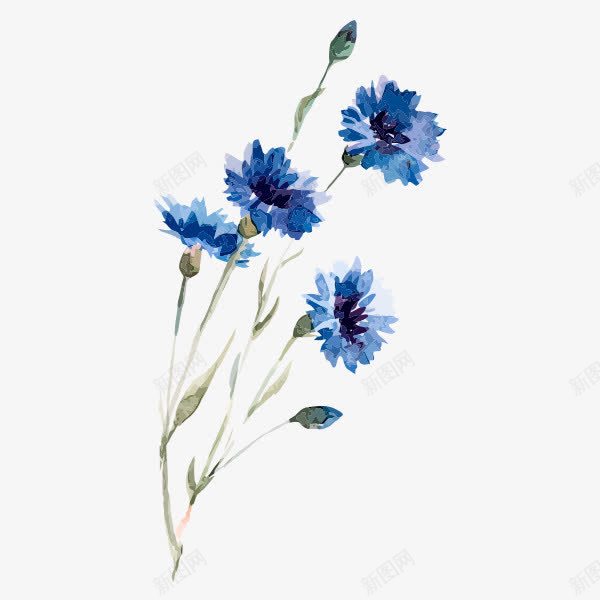 水彩小花png免抠素材_新图网 https://ixintu.com 小花 手绘 手绘蓝色花朵 植物 蓝色
