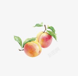 水彩桃子手绘水果素材