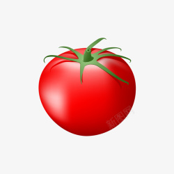 红色的番茄矢量图素材