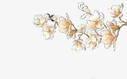 古风树矢量白色木棉花中国风高清图片