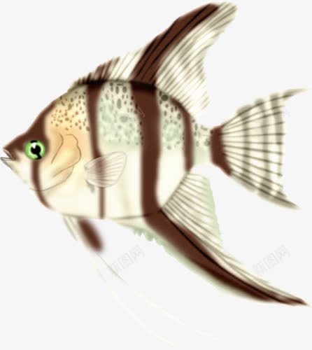 褐纹白鱼png免抠素材_新图网 https://ixintu.com 斑点 白身 褐纹 观赏鱼