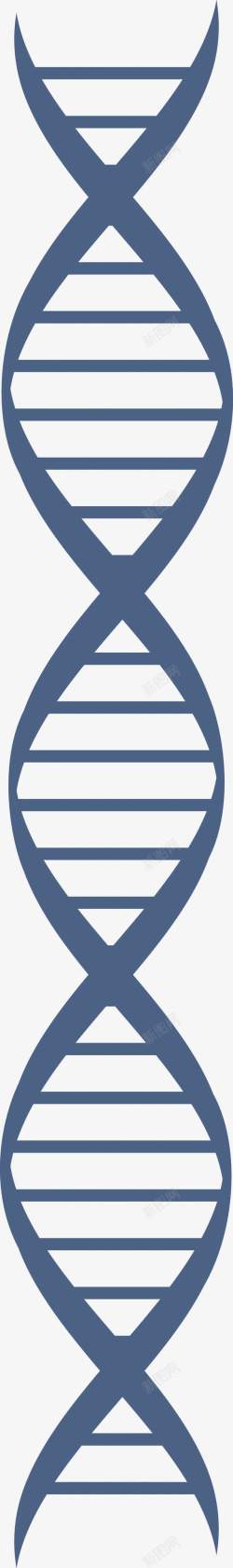 人体基因人体DNS矢量图高清图片