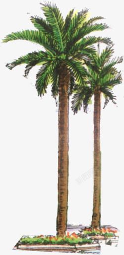 在海边的椰子树手绘素材