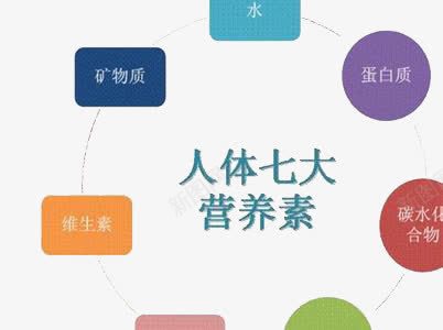 人体七大营养素图标png_新图网 https://ixintu.com 创意 图标 简约 装饰