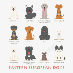 东欧12款卡通东欧狗矢量图高清图片