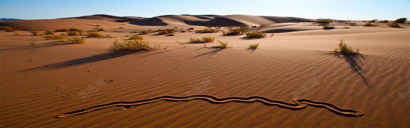 背景42psd设计背景_新图网 https://ixintu.com 摄影 棕色 沙漠 海报banner 纳米 风景