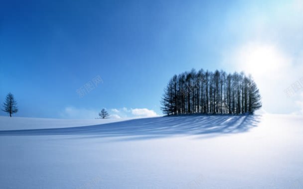 蓝天白云雪地树林背景