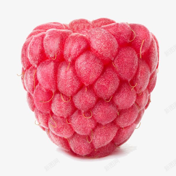 1个树莓png免抠素材_新图网 https://ixintu.com 树莓 水分 水果 红色