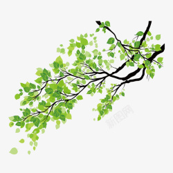 绿色植物小树素材