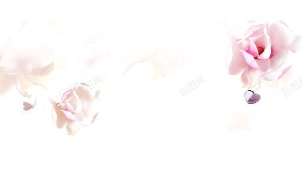 粉白色浪漫花卉海报背景jpg设计背景_新图网 https://ixintu.com 浪漫 海报 粉白色 背景 花卉
