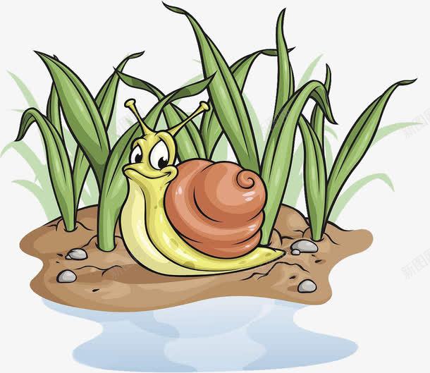 蜗牛小水坑png免抠素材_新图网 https://ixintu.com 小水坑 水坑 积水 蜗牛的水坑 雨后水坑 雨水坑