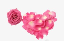 粉色玫瑰心形花瓣素材
