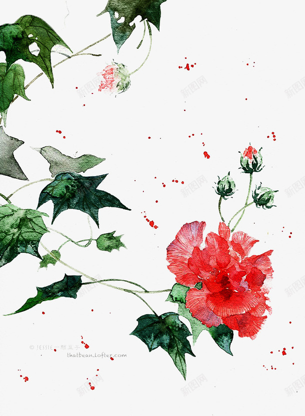 彩绘花和叶子png免抠素材_新图网 https://ixintu.com 叶子 植物 矢量装饰 花朵 装饰
