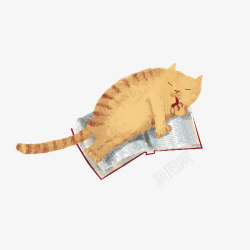 看书的猫素材