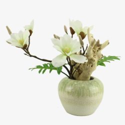 白色广玉兰复古花瓶软装装饰素材