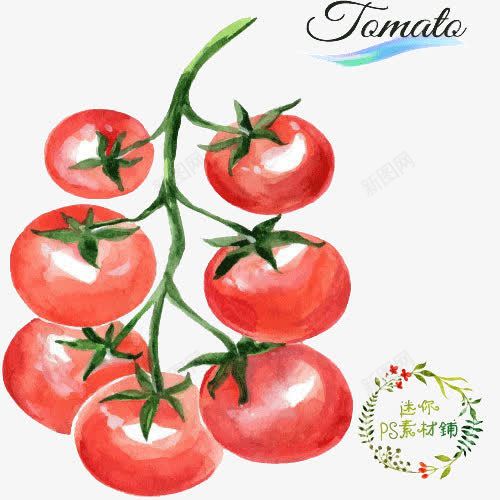 小番茄西红柿png免抠素材_新图网 https://ixintu.com 小番茄 红色 西红柿
