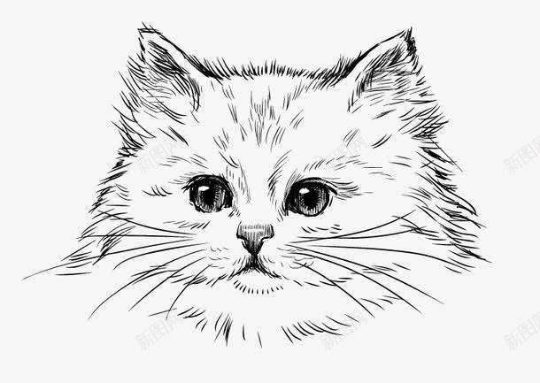 猫png免抠素材_新图网 https://ixintu.com 猫 猫头 素描