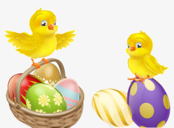 彩色的鸟蛋小鸡与彩蛋高清图片