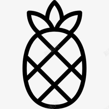 大菠萝图标图标