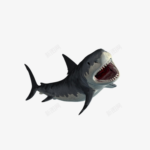 灰色圆弧鲨鱼元素png免抠素材_新图网 https://ixintu.com 创意 动物 圆弧 海洋 灰色 牙齿 生物 锋利 鲨鱼 鲨鱼嘴