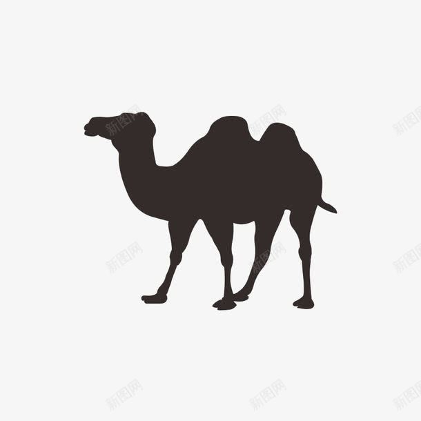 骆驼png免抠素材_新图网 https://ixintu.com 动物 图案 爬行动物 装饰 骆驼