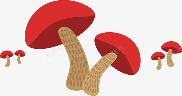 秋季立秋成熟蘑菇png免抠素材_新图网 https://ixintu.com 矢量png 秋季 秋季蘑菇 立秋 红色蘑菇 蘑菇