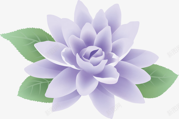 梦幻紫色花朵图案矢量图ai免抠素材_新图网 https://ixintu.com 图案 梦幻 紫色花朵 矢量图