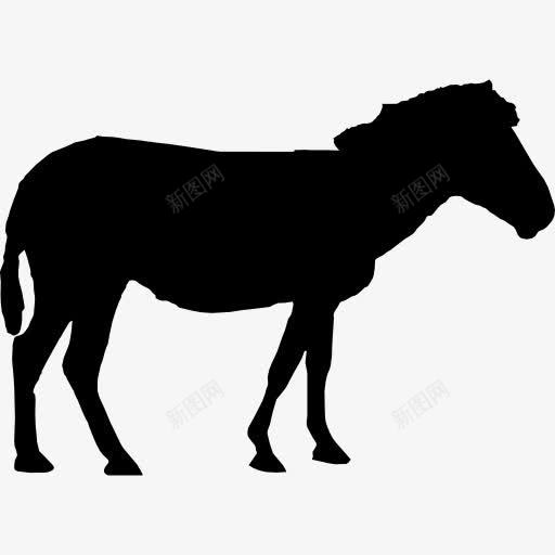 马的轮廓图标png_新图网 https://ixintu.com 动物 动物王国 动物的轮廓 形状 轮廓 马