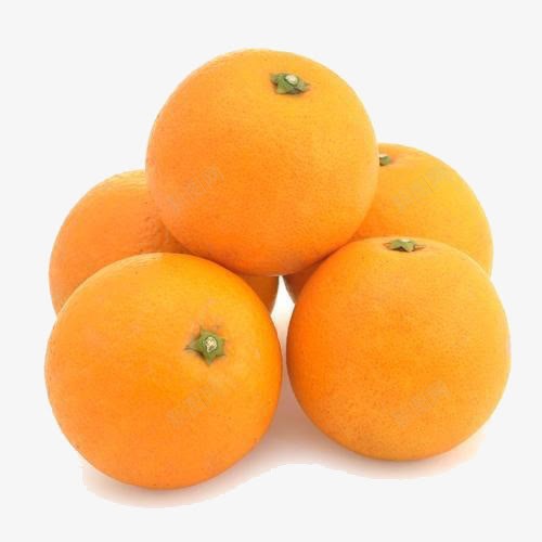 五个冰糖橙png免抠素材_新图网 https://ixintu.com 五个 冰糖橙 冰糖橙图片 好吃 实物图