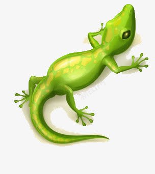 绿色的蜥蜴png免抠素材_新图网 https://ixintu.com 卡通 爬行动物 长尾巴