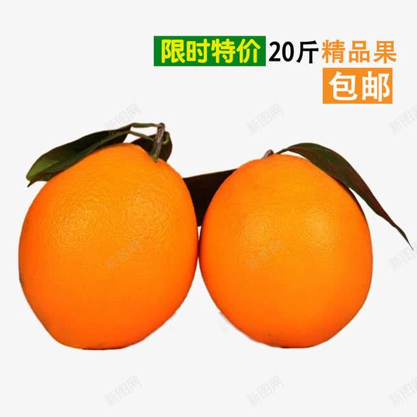 两个橙子png免抠素材_新图网 https://ixintu.com 两个橙子 字体 赣南脐橙 食物