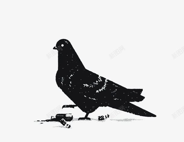 鸽子插画png免抠素材_新图网 https://ixintu.com 创意动物插画 鸽子 黑色动物剪影海报设计