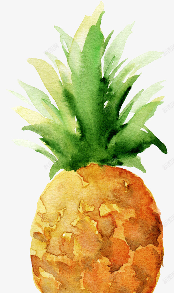 唯美的手绘菠萝卡通png免抠素材_新图网 https://ixintu.com 卡通 可爱 唯美 小清新 手绘 水彩 水果 菠萝