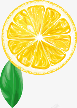 夏季水果切半的橙子素材